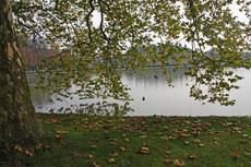 Herbststimmung-23-10-09 008.jpg